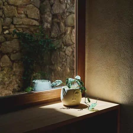 Hypercentre, Superbe Dans Ancienne écurie Du Xviiie Siècle * Ajaccio (Corsica)