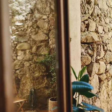 Appartement Hypercentre, Superbe Dans Ancienne écurie Du Xviiie Siècle Ajaccio (Corsica)