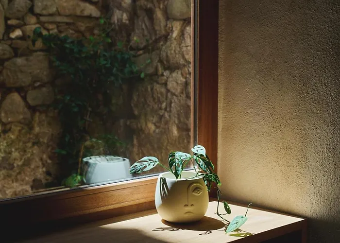 Hypercentre, Superbe Dans Ancienne Ecurie Du Xviiie Siecle * Ajaccio (Corsica)